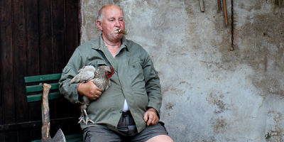 Ein älterer Mann sitzt auf einer grünen Bank in einem rustikalen Innenraum. Er hält ein Huhn auf dem Schoß und hat eine Zigarre im Mund. Hinter ihm hängen landwirtschaftliche Werkzeuge sowie Zwiebelbündel an einer verwitterten Wand. Neben ihm liegen eine Axt und ein Stock auf der Bank.